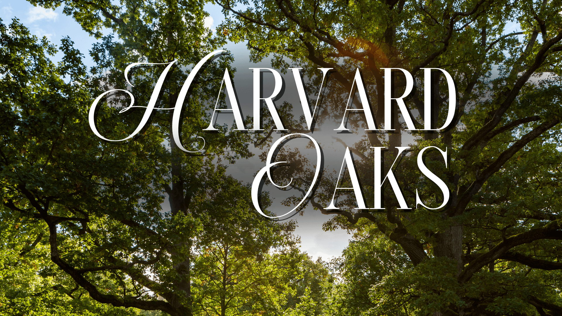Harvard Oaks image 2